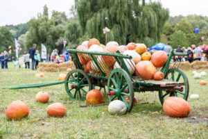 Fall Events in the Capital Region